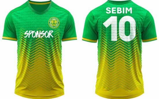 Maillot Stripe Col V Bicolore