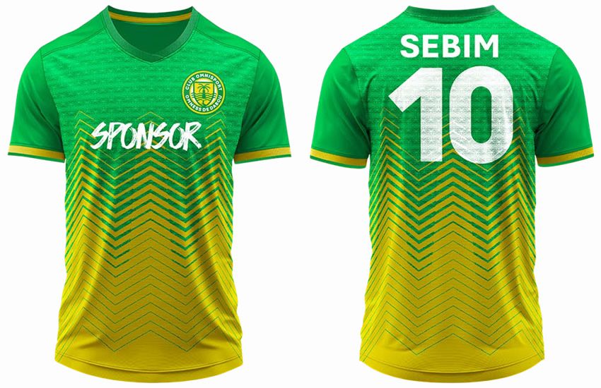 Maillot Stripe Col V Bicolore